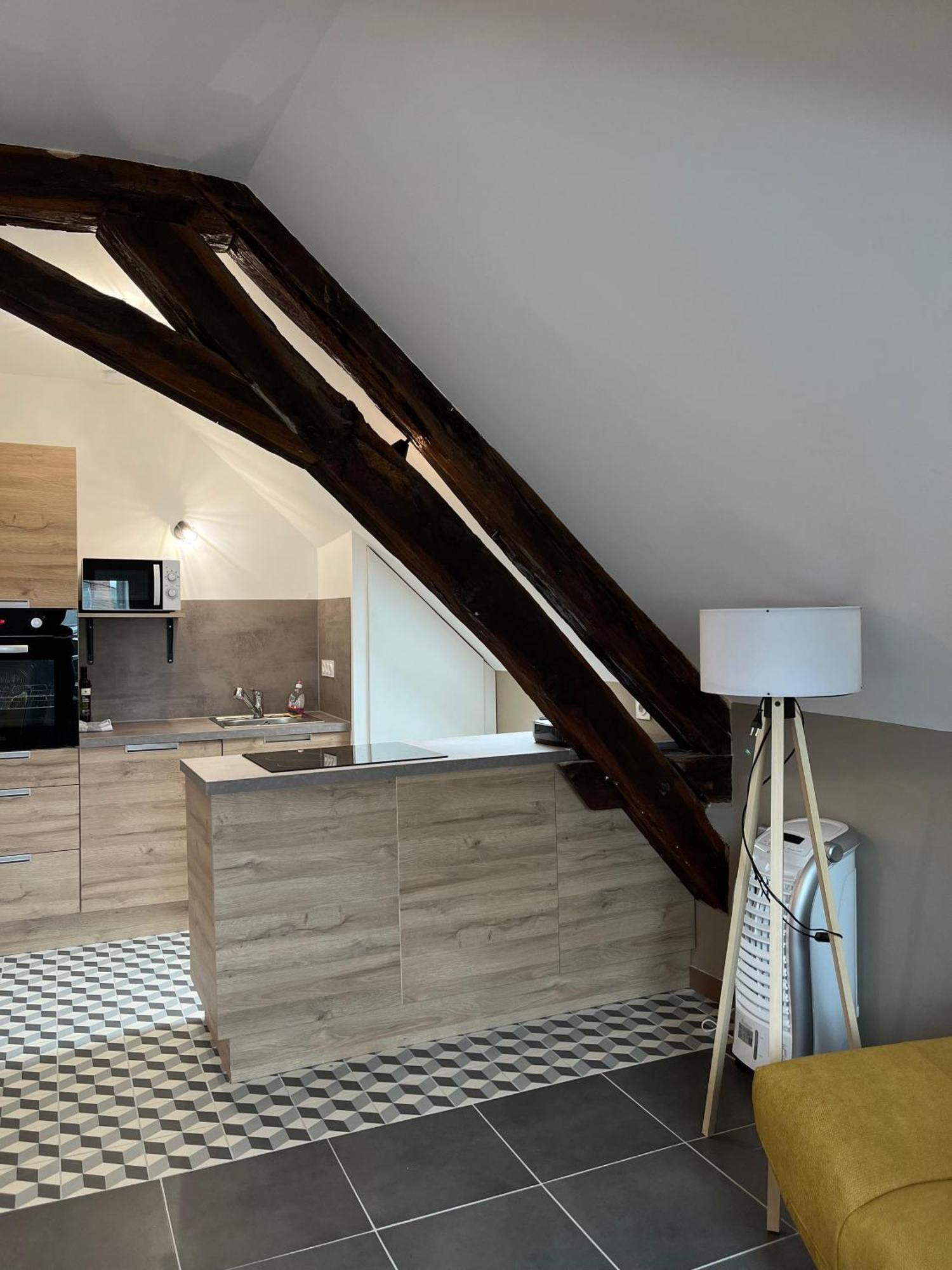 Apartmán Quai De La Loire Blois Exteriér fotografie