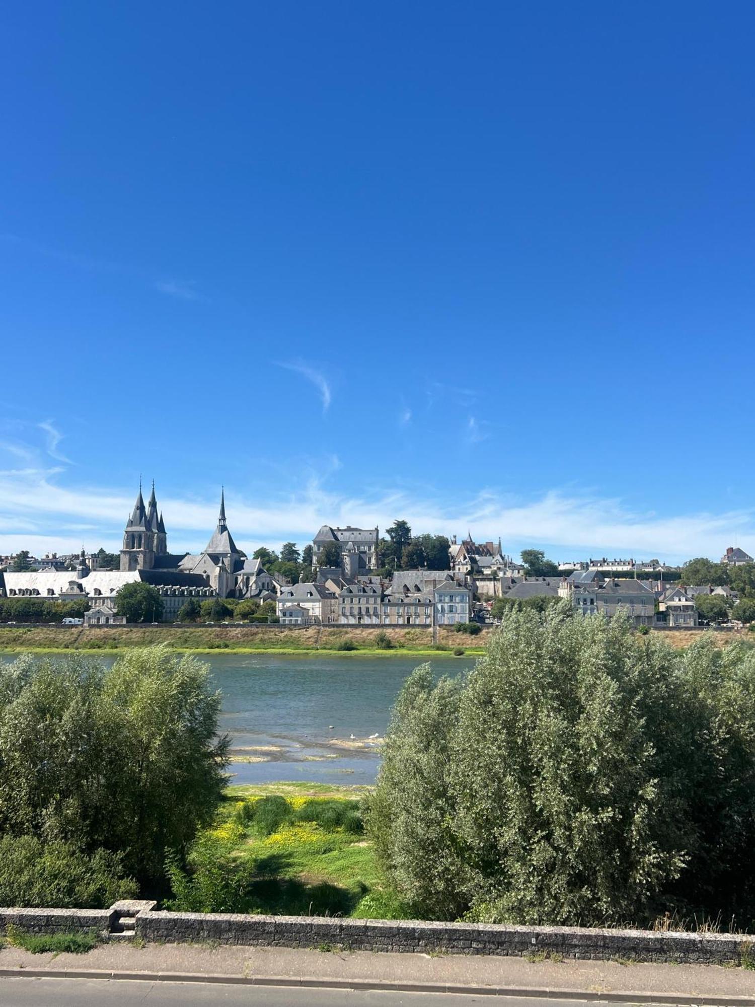 Apartmán Quai De La Loire Blois Exteriér fotografie
