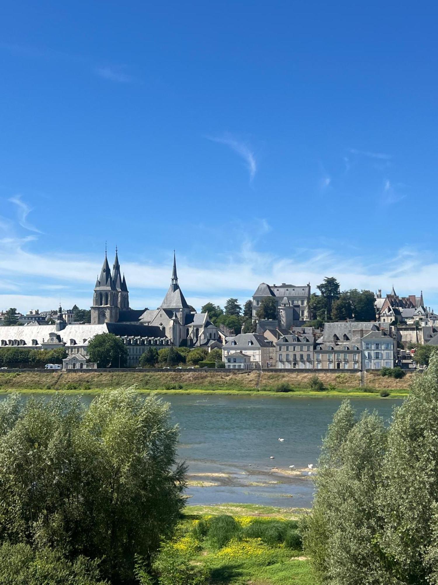 Apartmán Quai De La Loire Blois Exteriér fotografie