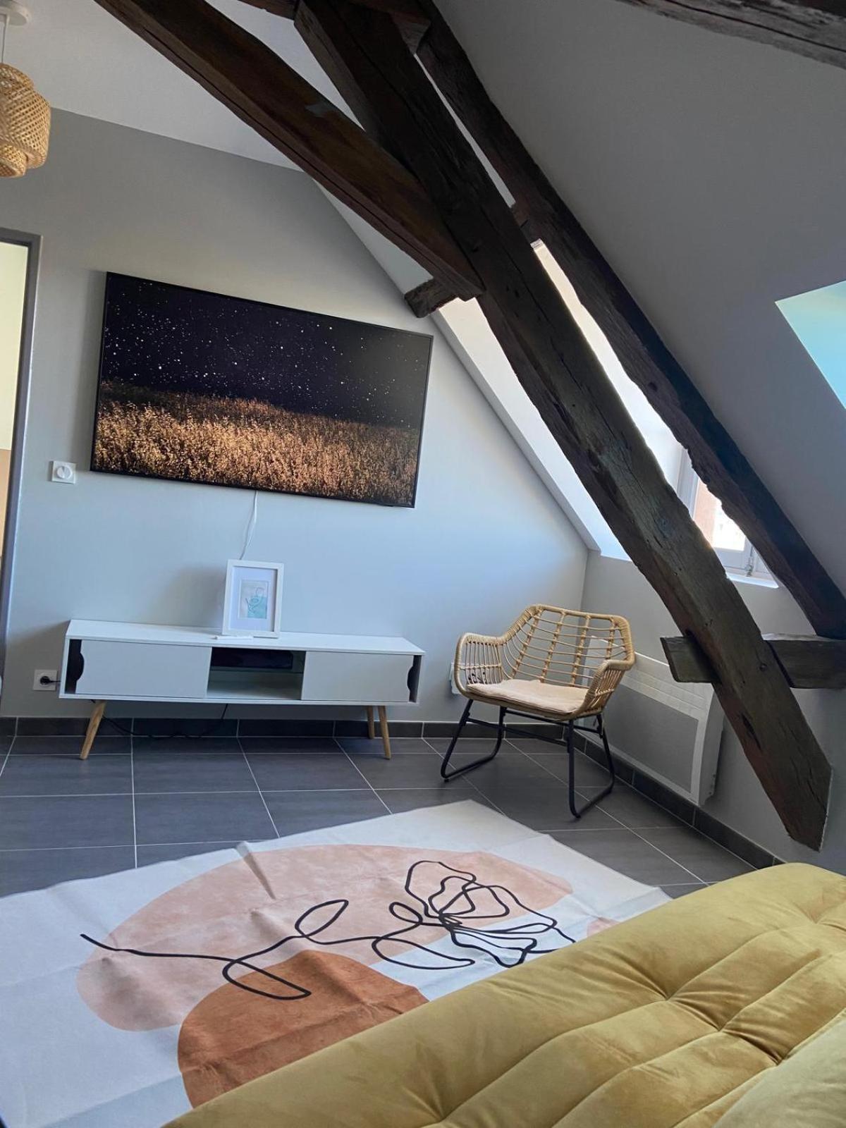Apartmán Quai De La Loire Blois Exteriér fotografie